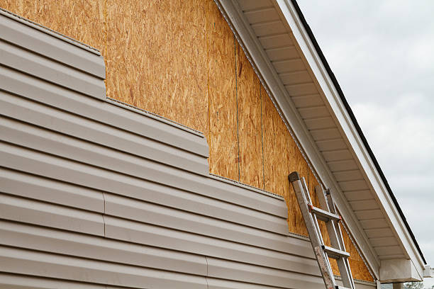 Professional Storm Damage Siding Repair technician working in Wayne, WV